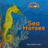 Sea Horses