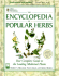 The Encyclopedia of Popular Herbs: Your Complete Guide to the Leading Medicinal Plants