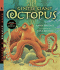 Gentle Giant Octopus [With Cd]