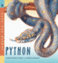 Python: Read and Wonder