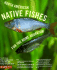 North American Native Fishes for the Home Aquarium