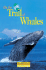 On the Trail of Whales (Barron's Nature Travel Guides)