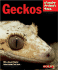 Geckos