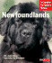 Newfoundlands