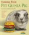 Training Your Pet Guinea Pig