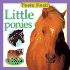 Little Ponies (Feels Real Books)