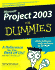 Project 2003 for Dummies