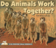 Do Animals Work Together?