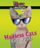 Hairless Cats: Cool Pets!