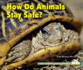 How Do Animals Stay Safe? (I Like Reading About Animals! )