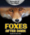 Foxes After Dark (Animals of the Night)