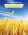 Wheat (All About Food Crops)