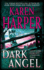 Dark Angel (Maplecreek Amish Trilogy #3)