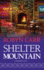 Shelter Mountain (Virgin River, Book 2)