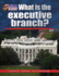 What is the Executive Branch?