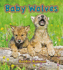 Baby Wolves (It's Fun to Learn About Baby Animals)