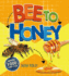 Bee to Honey (Where Food Comes From)