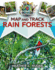 Map and Track Rain Forests (Map and Track Biomes and Animals)