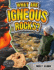 What Are Ignrous Rocks?