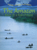 The Amazon: River in a Rain Forest