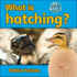 What Is Hatching?