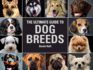 The Ultimate Guide to Dog Breeds: a Useful Means of Identifying the Dog Breeds of the World and How to Care for Them