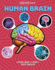 Inside Out Human Brain: Explore Inside Your Body's Super Computer (Inside Out, Chartwell)