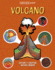 Inside Out Volcano Format: Hardback-Paper Over Boards