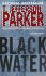 Black Water: a Merci Rayborn Novel