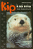 Kip: a Sea Otter