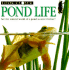 Pond Life (Look Closer)