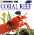 Coral Reef