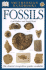 Handbooks: Fossils: the Clearest Recognition Guide Available