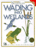 Wading Into Wetlands(Oop)