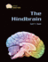 The Hindbrain (Gray Matter)