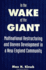 In the Wake of the Giant: Multinational Restructuring and Uneven Development in a New England Community (S U N Y Series in the Anthropolgy of Work) (Suny the Anthropology of Work)