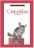 A New Owner's Guide to Chinchillas