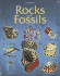 Rocks & Fossils (Hobby Guides)