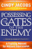 Possessing the Gates of the Enemy: a Training Manual for Militant Intercession