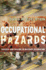 Occupational Hazards: Success and Failure in Military Occupation