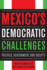 Mexico's Democratic Challenges: Politics, Government, and Society