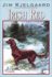 Irish Red (Turtleback School & Library Binding Edition)