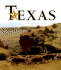 Art of the State Texas