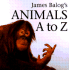 James Balog's Animals a to Z