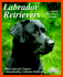 Labrador Retrievers