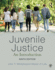 Juvenile Justice: an Introduction