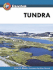 Tundra (Ecosystem)
