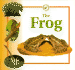 The Frog (Life Cycles)