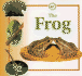 The Frog (Life Cycles)