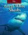 Great White Sharks